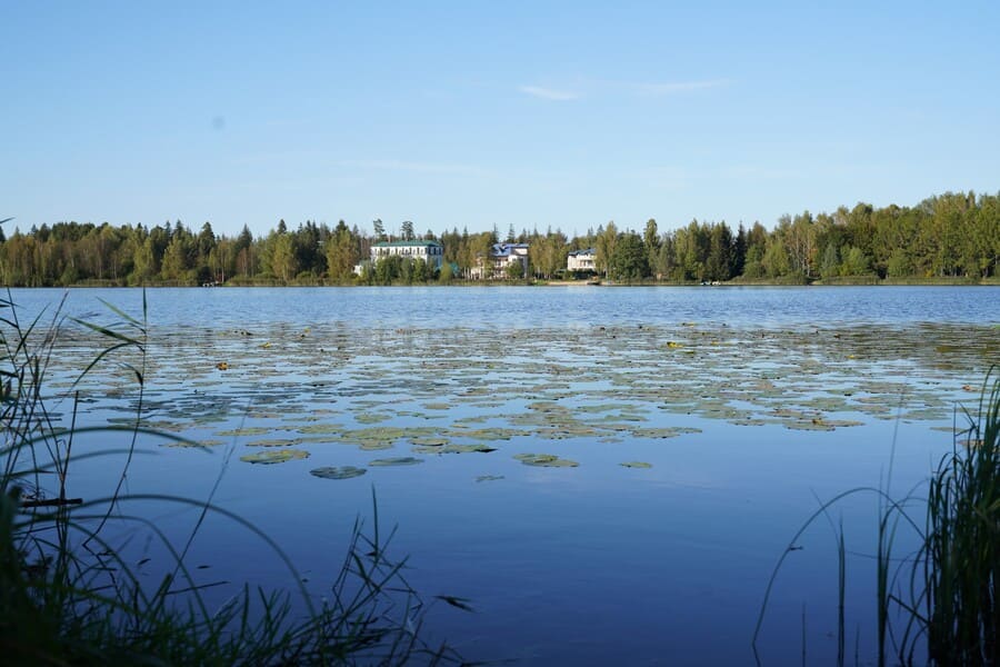 Пансионат для пожилых "Академия долголетия" на озере Долгое  фото 4