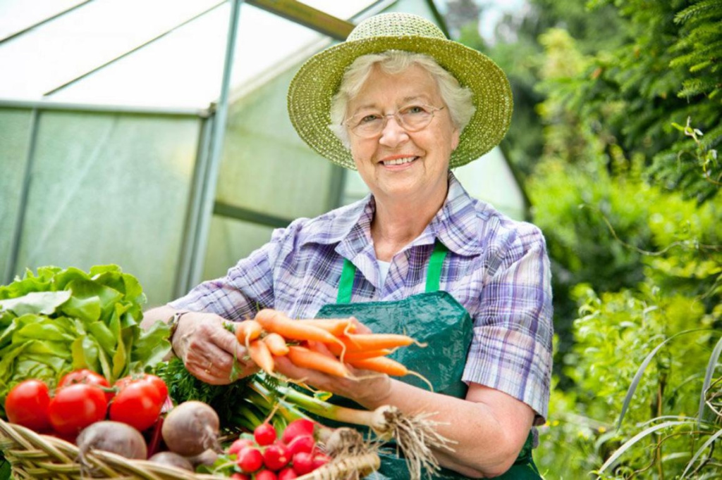 Огород для пожилых людей: как источник здоровья, молодости и долголетия Огород для пожилых людей: как источник здоровья, молодости и долголетия
