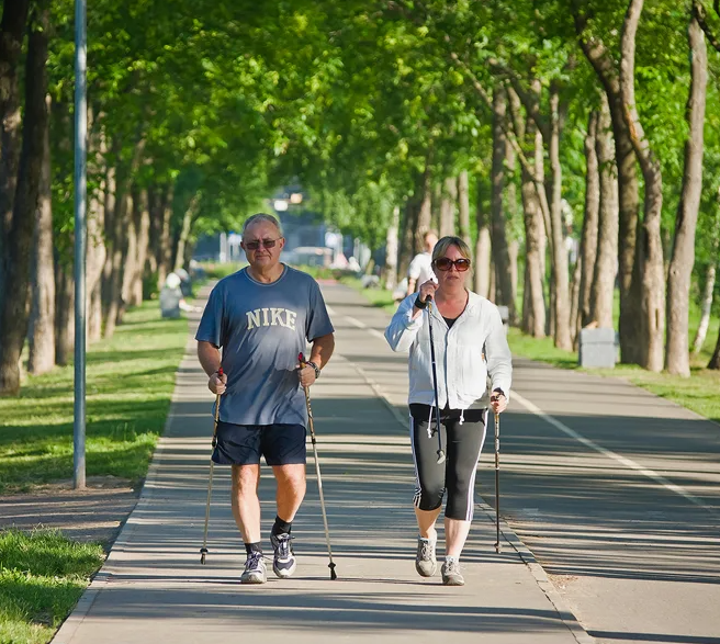 Основополагающие принципы скандинавской ходьбы Основополагающие принципы скандинавской ходьбы