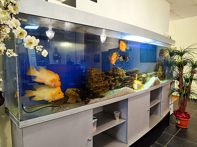 Пансионат Оазис в Барыбино