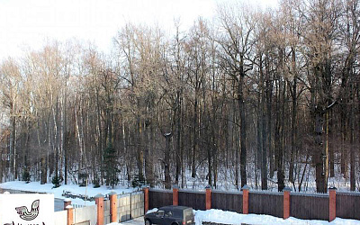 Пансионат для пожилых Мирра на Варшавском шоссе
