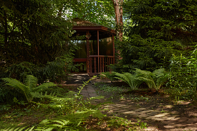 Пансионат для пожилых "Осень жизни" в Новокосино