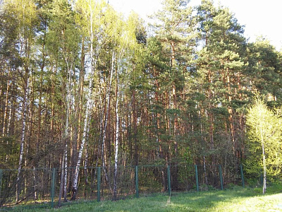 Дом престарелых Домашний уют в Орловке