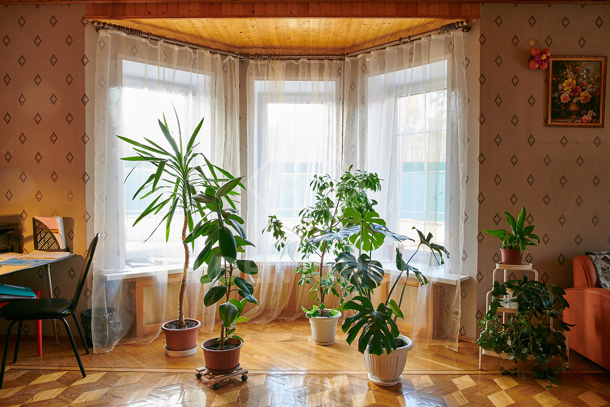 Пансионат для пожилых "Olden Group" Пушкино фото 6