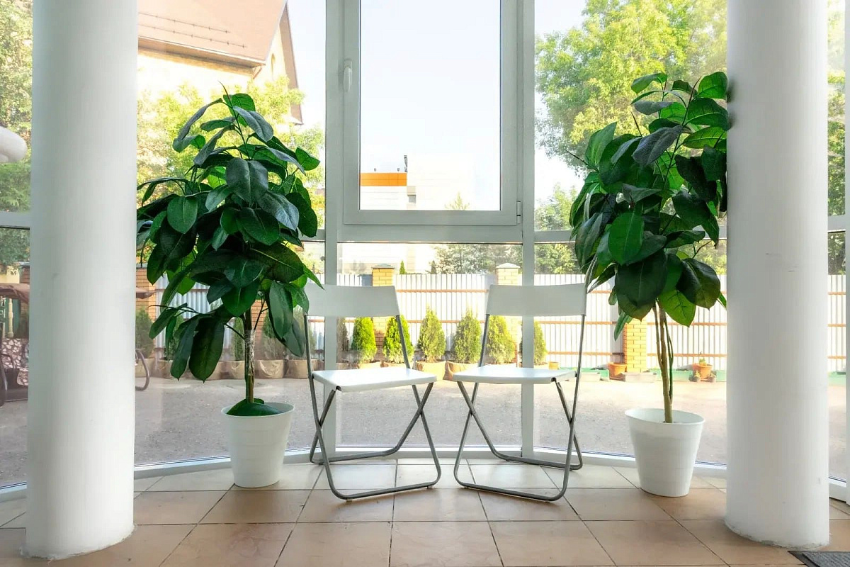 Пансионат для пожилых «Русь» Немчиновка фото 5