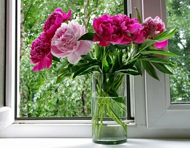 Пансионат для пожилых "Ленинский"