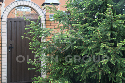 Пансионат для пожилых "Olden group" Лесной городок