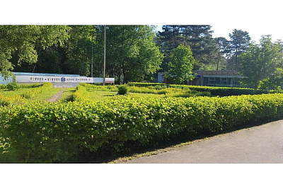 Пансионат для пожилых "Березка" Руза