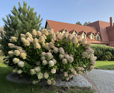 Пансионат для пожилых "Добрые сердца" Люберцы